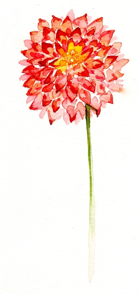 Wedding Flowers Cornwall 13